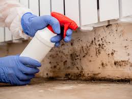 Best Mold Documentation for Insurance Claims  in Byram Center, NJ